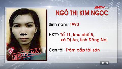 Truy nã 2 đối tượng tội trộm cắp tài sản