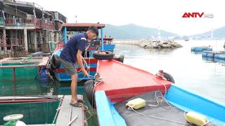  Các địa phương ứng phó với bão số 10
