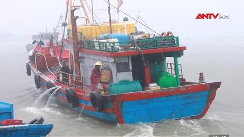 Kinh tế tiêu dùng ngày 27/9/2025