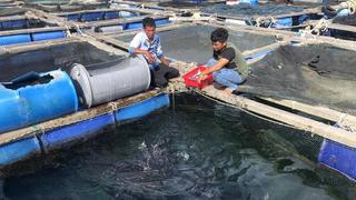 Chung sức gỡ “thẻ vàng” của EC 