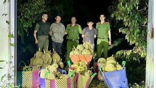 Hai thanh niên mang ô tô từ miền Tây đến Đắk Lắk trộm sầu riêng