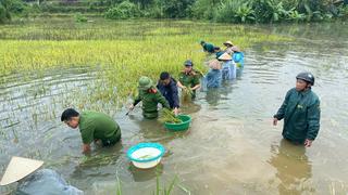 Huy động tối đa lực lượng khắc phục nhanh nhất hậu quả bão lũ