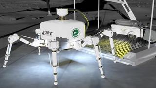 Robot hình nhện có khả năng xây nhà