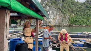 Quảng Ninh, Hải Phòng chủ động ứng phó bão Matmo