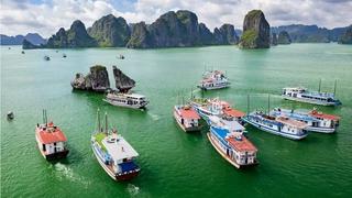 Quảng Ninh tạm ngừng cấp phép tham quan, lưu trú trên biển từ sáng nay 5/10