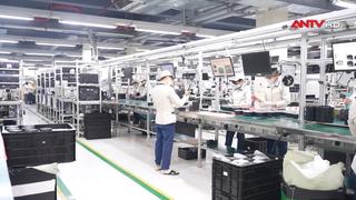 Tăng trưởng GDP quý III ước đạt 8,22%, cao nhất trong hơn một thập kỷ