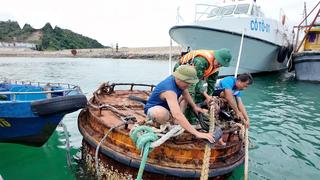 Quảng Ninh huy động lực lượng sẵn sàng tham gia phòng, chống bão