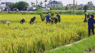 Chủ động ứng phó bão số 11