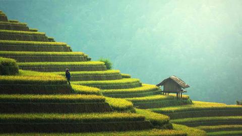 Kinh tế tiêu dùng ngày 07/10/2025