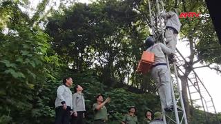 Đảm bảo thông suốt, an toàn thông tin cho bà con vùng lũ