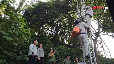 Đảm bảo thông suốt, an toàn thông tin cho bà con vùng lũ