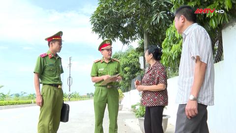 Gieo hạt chính quy, gặt mùa bình yên