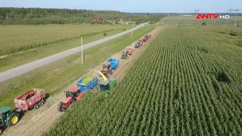 EU đồng ý giảm thuế nhập khẩu đối với nhiều sản phẩm nông sản Ukraine