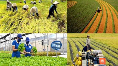 An ninh 24h ngày 16/10/2025