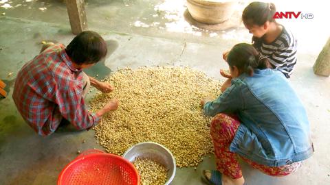 Gieo những mùa xanh sau ngày lầm lỗi