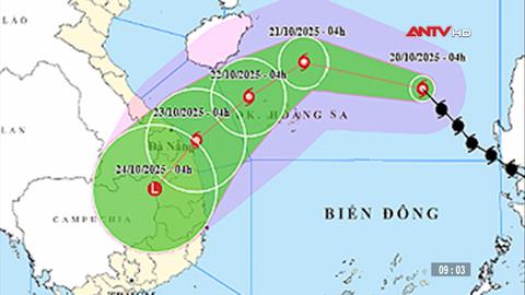 Bão số 12 giật cấp 11, gây mưa lớn diện rộng
