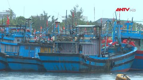 Các tỉnh miền Trung chủ động ứng phó bão số 12