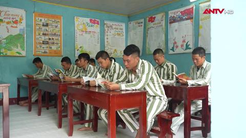 Nửa thế kỷ gieo mầm thiện lương