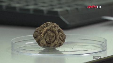 An ninh thế giới ngày 27/10/2025