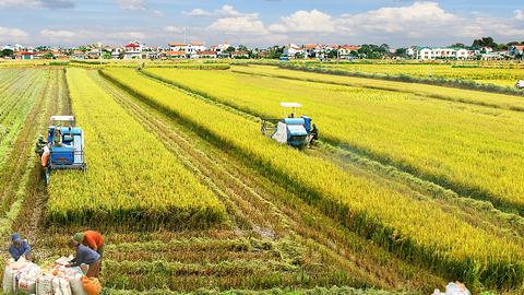 Khoa học công nghệ - chìa khóa phát triển bền vững nông nghiệp
