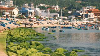 Quy Nhơn lọt top 25 điểm đến hàng đầu thế giới năm 2026