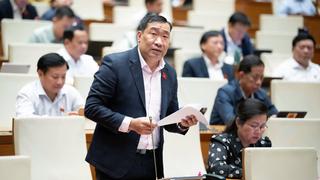 Bảo vệ môi trường là nền tảng để phát triển lâu dài