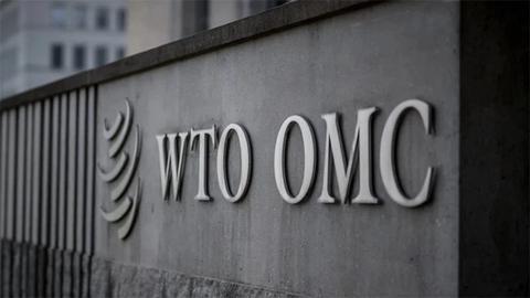WTO kêu gọi cải cách nhằm đẩy nhanh các thỏa thuận thương mại toàn cầu