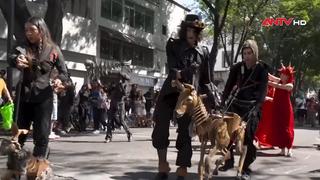 Mexico kỷ niệm 20 năm lễ hội múa rối