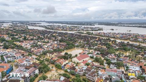 113 Online lúc 15h ngày 31/10/2025