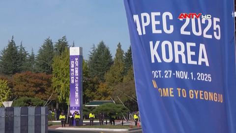 Khai mạc Hội nghị Cấp cao APEC lần thứ 32