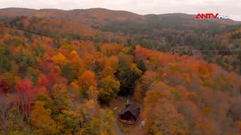 New York mùa cây rừng chuyển sắc thu