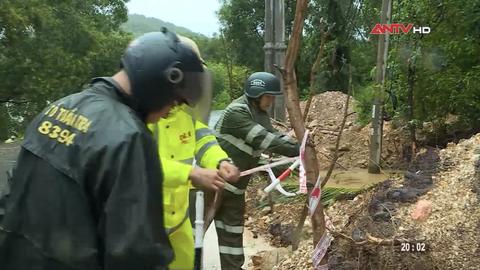 Tin nhanh lúc 20h ngày 01/11/2025