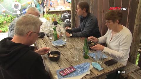 Khám phá hành trình ẩm thực xanh tại Nam Phi 