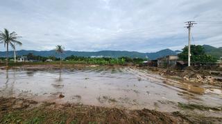 Tin tức nổi bật 24h qua