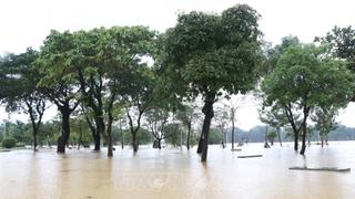 Lũ các sông tại Huế tăng dần đến xấp xỉ báo động 3