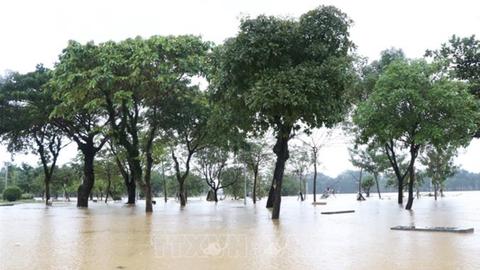 Lũ các sông tại Huế tăng dần đến xấp xỉ báo động 3