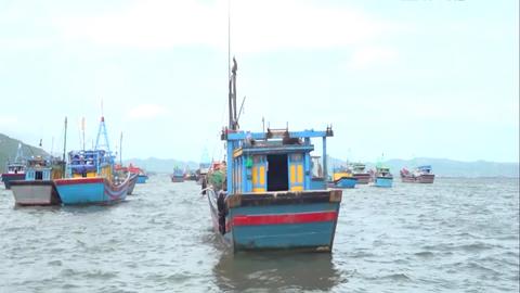 Tin nhanh lúc 9h ngày 05/11/2025