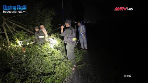 Xuyên đêm dọn cây ngã đổ, thông tuyến sau bão 