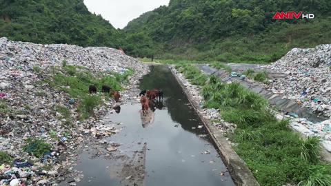 Khắc phục ô nhiễm tại Trung Sơn, Ninh Bình