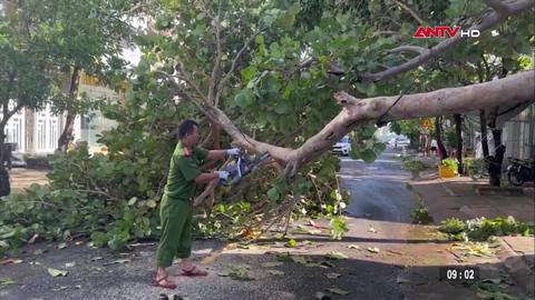 Tin nhanh lúc 9h ngày 08/11/2025