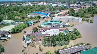 Ước tính thiệt hại ban đầu do bão số 13 là 7.050 tỷ đồng