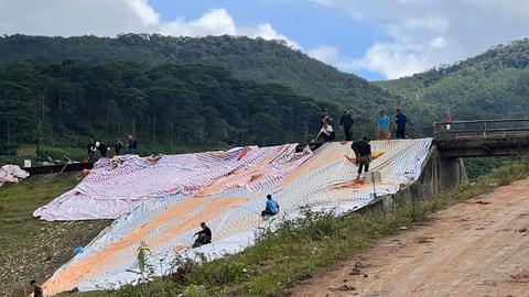 Kinh tế tiêu dùng ngày 08/11/2025