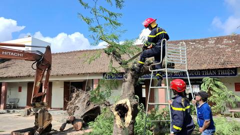 113 Online ngày 09/11/2025