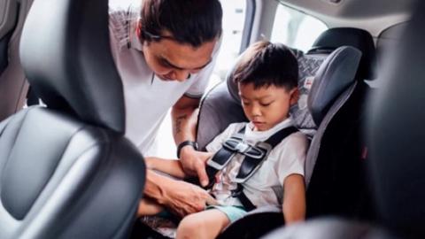 An ninh toàn cảnh ngày 11/11/2025