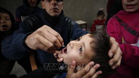 UNICEF cảnh báo tình trạng thiếu vật tư y tế thiết yếu tại Gaza