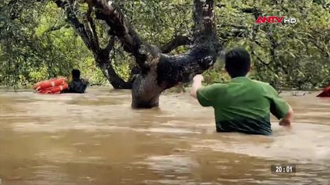 Tin nhanh lúc 20h ngày 12/11/2025