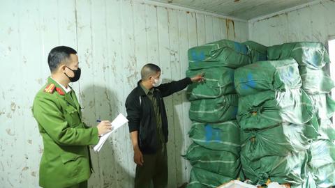 113 Online ngày 13/11/2025