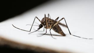 Phương pháp mới trong điều trị sốt rét