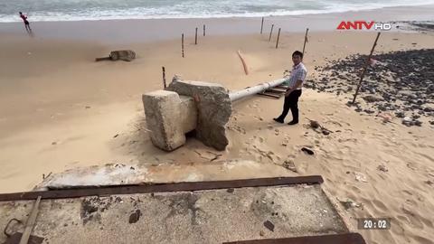 Tin nhanh lúc 20h ngày 13/11/2025