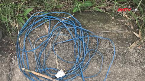 Chết người vì bẫy chuột bằng điện 